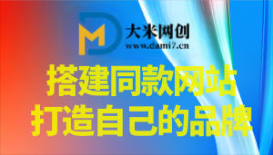 你还在到处找项目？还在当韭菜？我靠卖项目一个月收入5万+，曾经我也是个失败者。-大米网创