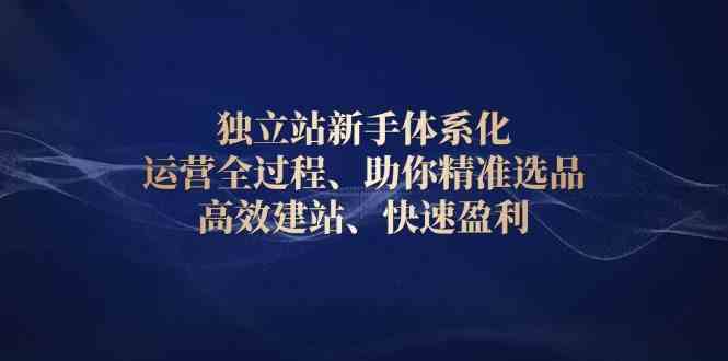 独立站新手体系化 运营全过程，助你精准选品、高效建站、快速盈利-大米网创