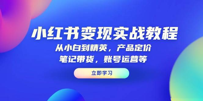 小红书变现实战教程：从小白到精英，产品定价，笔记带货，账号运营等-大米网创