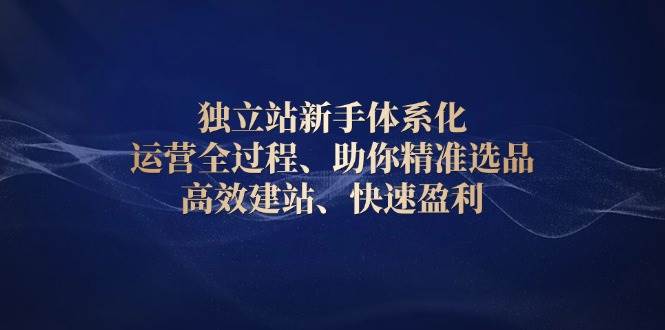 独立站新手体系化 运营全过程，助你精准选品、高效建站、快速盈利-大米网创