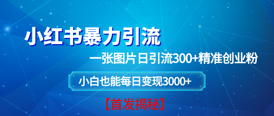 小红书暴力引流法，一张图片日引 300+精准创业粉，每日稳定变现 3000+【揭秘】-大米网创