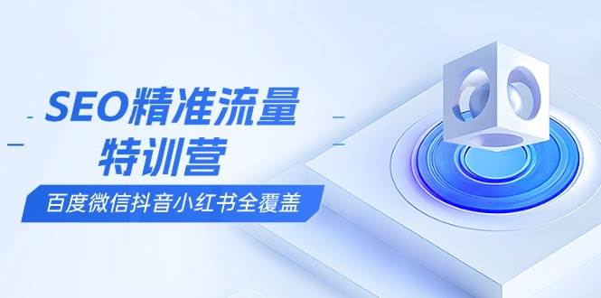 SEO精准流量特训营，百度微信抖音小红书全覆盖，带你搞懂搜索优化核心技巧-大米网创