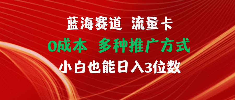 【站长实操】蓝海赛道 流量卡 0成本 小白也能日入三位数-大米网创