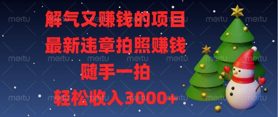 解气又赚钱的项目，最新违章拍照赚钱，随手一拍，轻松收入3000+-大米网创