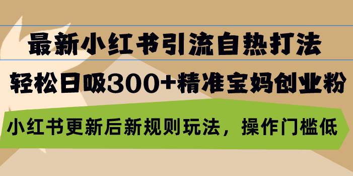 最新小红书引流自热打法，轻松日吸300+精准宝妈创业粉，小红书更新后新…-大米网创