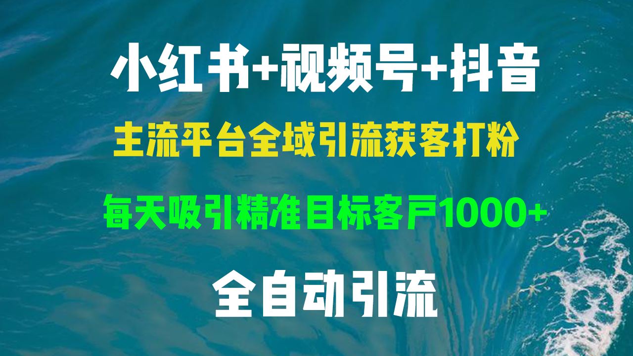 小红书，视频号，抖音主流平台全域引流获客打粉，每天吸引精准目标客户…-大米网创