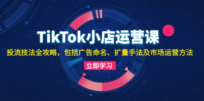 TikTok小店运营课：投流技法全攻略，包括广告命名 扩量手法及市场运营方法-大米网创