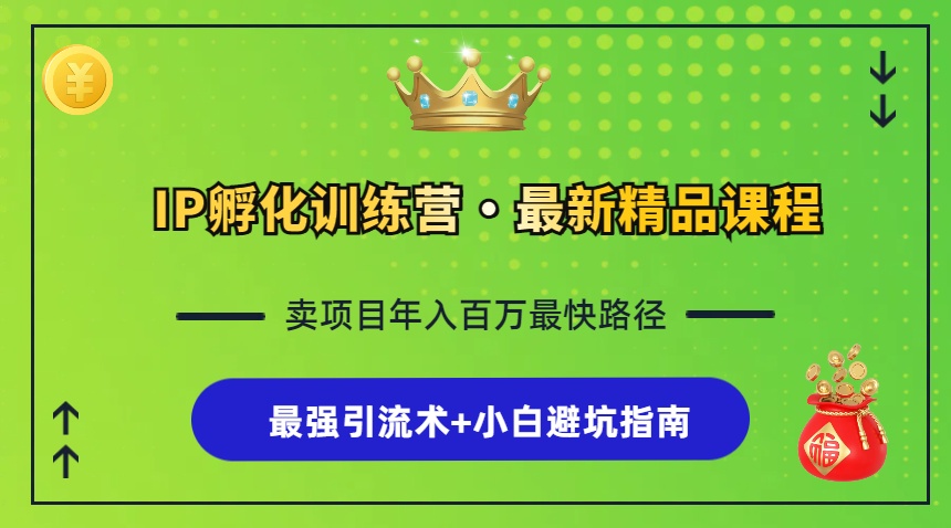 IP孵化训练营，知识付费全流程+最强引流术+小白避坑指南-大米网创