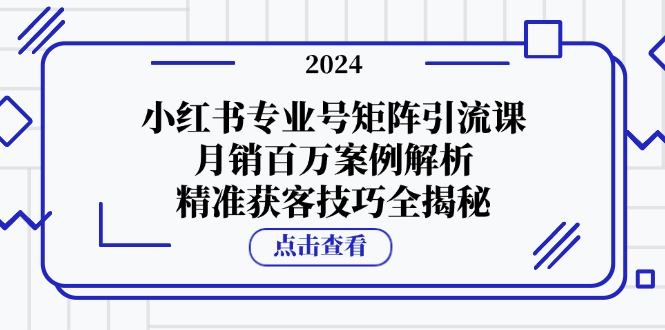 小红书专业号矩阵引流课，月销百万案例解析，精准获客技巧全揭秘-大米网创