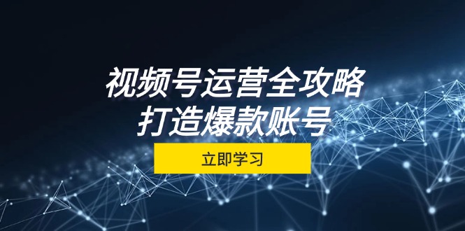 视频号运营全攻略，从定位到成交一站式学习，视频号核心秘诀，打造爆款…-大米网创