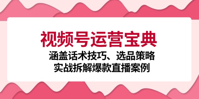 视频号运营宝典：涵盖话术技巧、选品策略、实战拆解爆款直播案例-大米网创