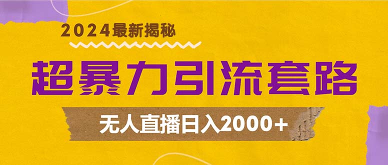 超暴力引流套路，无人直播日入2000+-大米网创