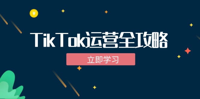 TikTok实战运营全攻略：从下载软件到变现，抖音海外版实操教程-大米网创