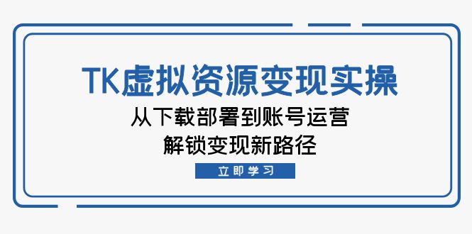 TK虚拟资源变现实操：从下载部署到账号运营，解锁变现新路径-大米网创