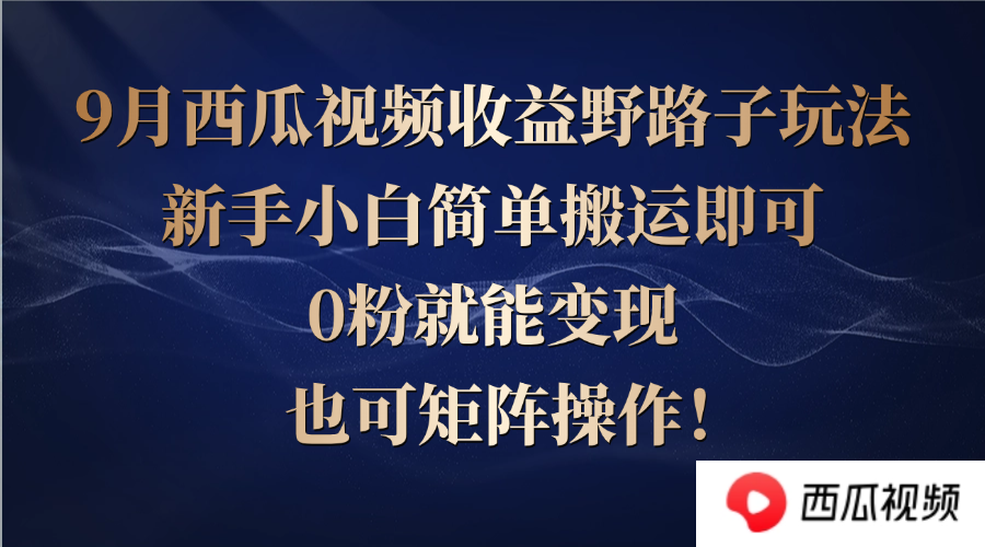 西瓜视频收益野路子玩法，新手小白简单搬运即可，0粉就能变现，也可矩…-大米网创