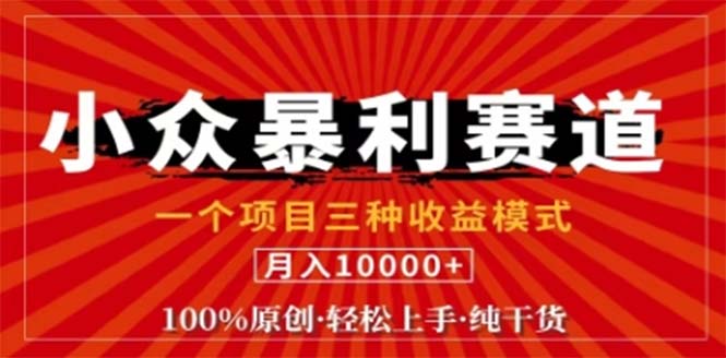 视频号最新爆火赛道，三种可收益模式，0粉新号条条原创条条热门 日入1000+-大米网创