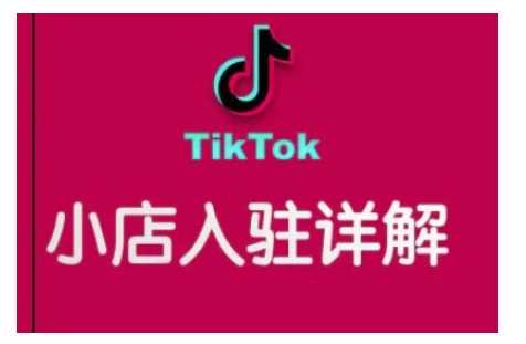 TikTok跨境小店运营全攻略，帮助你独立运营TK跨境小店的能力，实现销量增长-大米网创