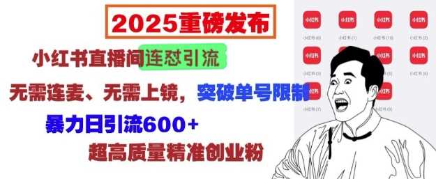 2025重磅发布：小红书直播间连怼引流，无需连麦、无需上镜，突破单号限制，暴力日引流600+-大米网创