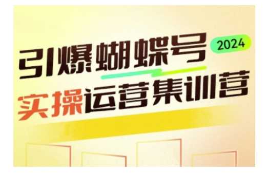 引爆蝴蝶号实操运营，助力你深度掌握蝴蝶号运营，实现高效实操，开启流量变现之路-大米网创