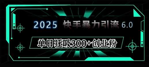 2025年快手6.0保姆级教程震撼来袭，单日狂吸300+精准创业粉-大米网创