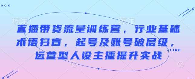 直播带货流量训练营，行业基础术语扫盲，起号及账号破层级，运营型人设主播提升实战-大米网创