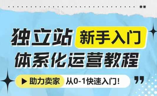 独立站新手入门体系化运营教程，助力独立站卖家从0-1快速入门!-大米网创