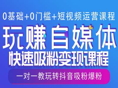 0基础+0门槛+短视频运营课程，玩赚自媒体快速吸粉变现课程，一对一教玩转抖音吸粉爆粉-大米网创