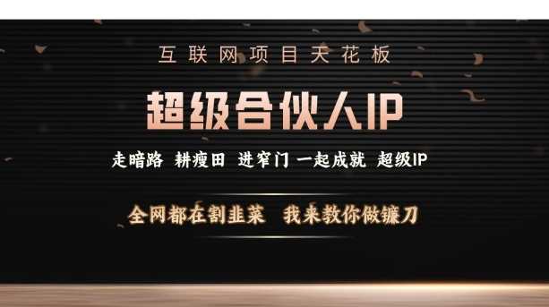 互联网项目天花板，超级合伙人IP，全网都在割韭菜，我来教你做镰刀【仅揭秘】-大米网创