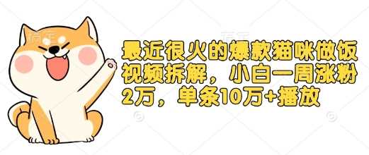 最近很火的爆款猫咪做饭视频拆解，小白一周涨粉2万，单条10万+播放(附保姆级教程)-大米网创