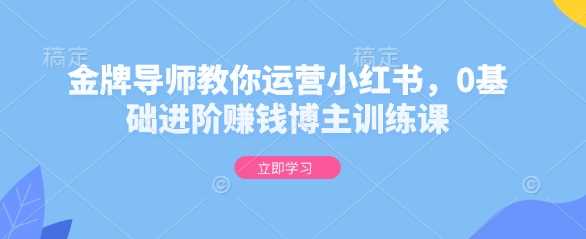 金牌导师教你运营小红书，0基础进阶赚钱博主训练课-大米网创