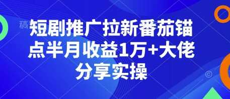 短剧推广拉新番茄锚点半月收益1万+大佬分享实操-大米网创