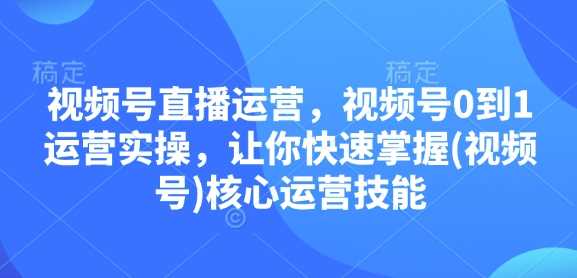 视频号直播运营，视频号0到1运营实操，让你快速掌握(视频号)核心运营技能-大米网创