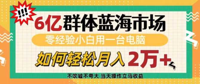 6亿群体蓝海市场，零经验小白用一台电脑，如何轻松月入过w【揭秘】-大米网创