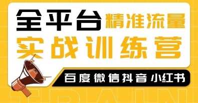 全平台精准流量实战训练营，百度微信抖音小红书SEO引流教程-大米网创