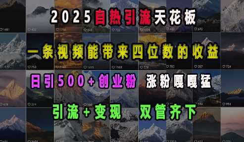 2025自热引流天花板，一条视频能带来四位数的收益，引流+变现双管齐下，日引500+创业粉，涨粉嘎嘎猛-大米网创