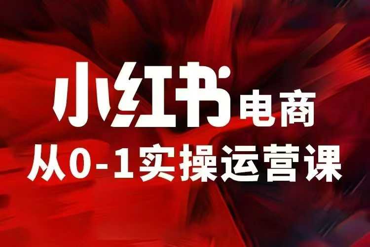 小红书电商运营，97节小红书vip内部课，带你实现小红书赚钱-大米网创