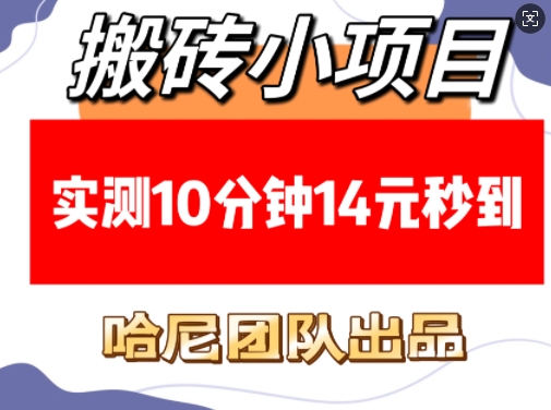 搬砖小项目，实测10分钟14元秒到，每天稳定几张(赠送必看稳定)-大米网创