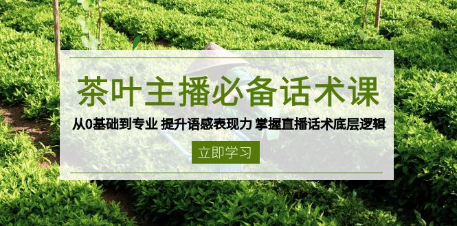 茶叶 主播必备话术课 从0基础到专业 提升语感表现力 掌握直播话术底层逻辑-大米网创