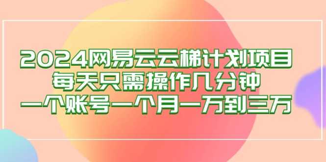 2024网易云梯计划项目，每天只需操作几分钟 一个账号一个月一万到三万-大米网创