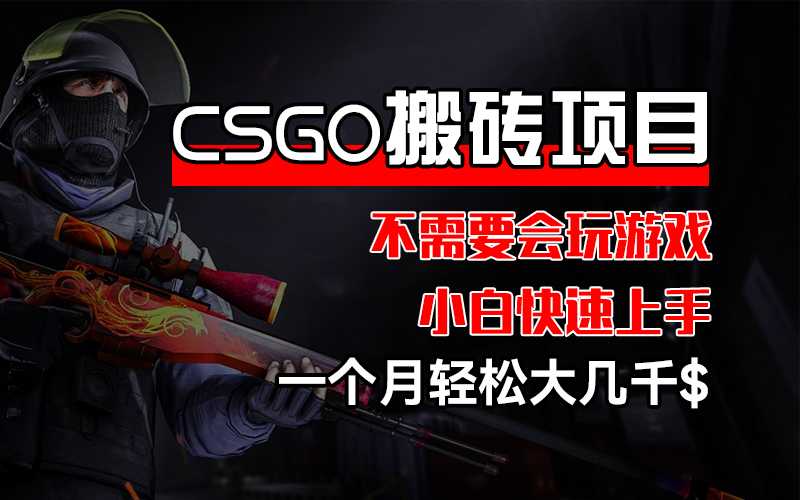 CSGO 装备搬砖项目，操作简单，不需要会玩游戏，小白也能快速上手，一…-大米网创
