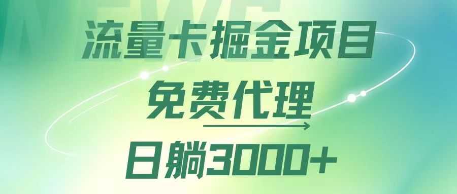 流量卡掘金代理，日躺赚3000+，变现暴力，多种推广途径-大米网创