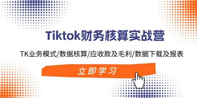 Tiktok财务核算实战营：TK业务模式/数据核算/应收款及毛利/数据下载及报表-大米网创