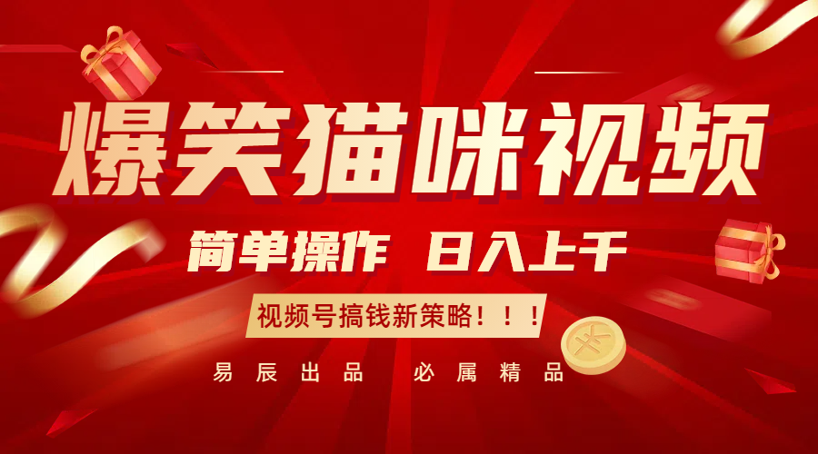 爆笑猫咪视频：简单操作，日入过千，视频号搞钱新策略！-大米网创