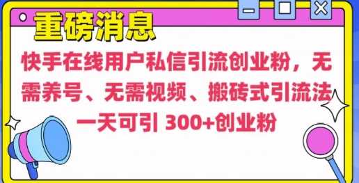 快手最新引流创业粉方法，无需养号、无需视频、搬砖式引流法-大米网创