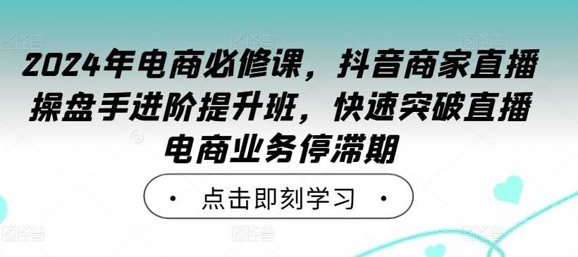 2024年电商必修课，抖音商家直播操盘手进阶提升班，快速突破直播电商业务停滞期-大米网创
