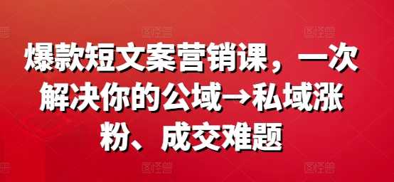 爆款短文案营销课，一次解决你的公域→私域涨粉、成交难题-大米网创