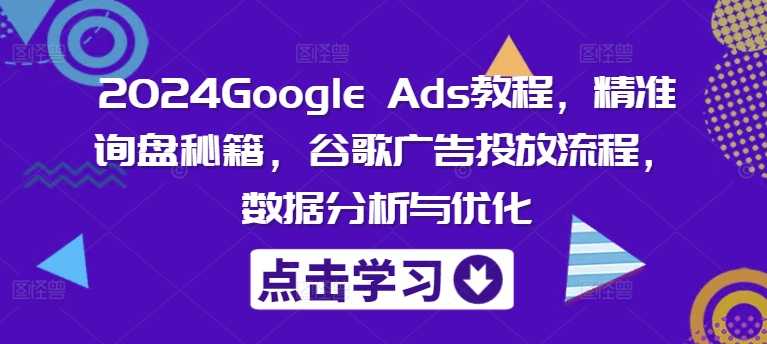 2024Google Ads教程,精准询盘秘籍,谷歌广告投放流程,数据分析与优化-大米网创