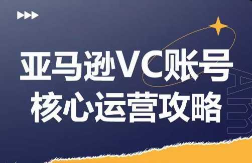 亚马逊VC账号核心玩法解析,实战经验拆解产品模块运营技巧,提升店铺GMV,有效提升运营利润-大米网创