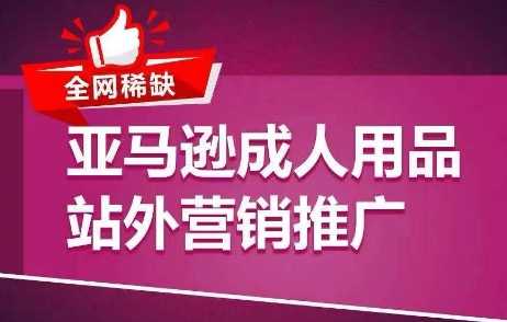 全网稀缺!亚马逊成人用品站外营销推广,教你引爆站外流量,开启爆单模式-大米网创