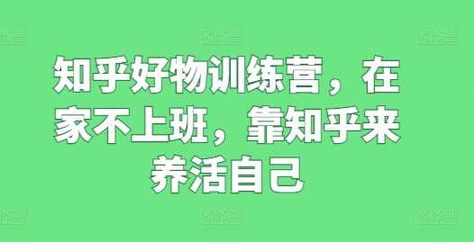 知乎好物训练营，在家不上班，靠知乎来养活自己-大米网创